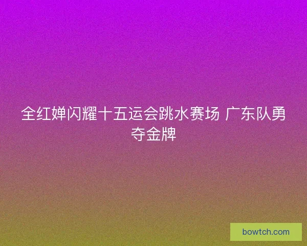全红婵闪耀十五运会跳水赛场 广东队勇夺金牌